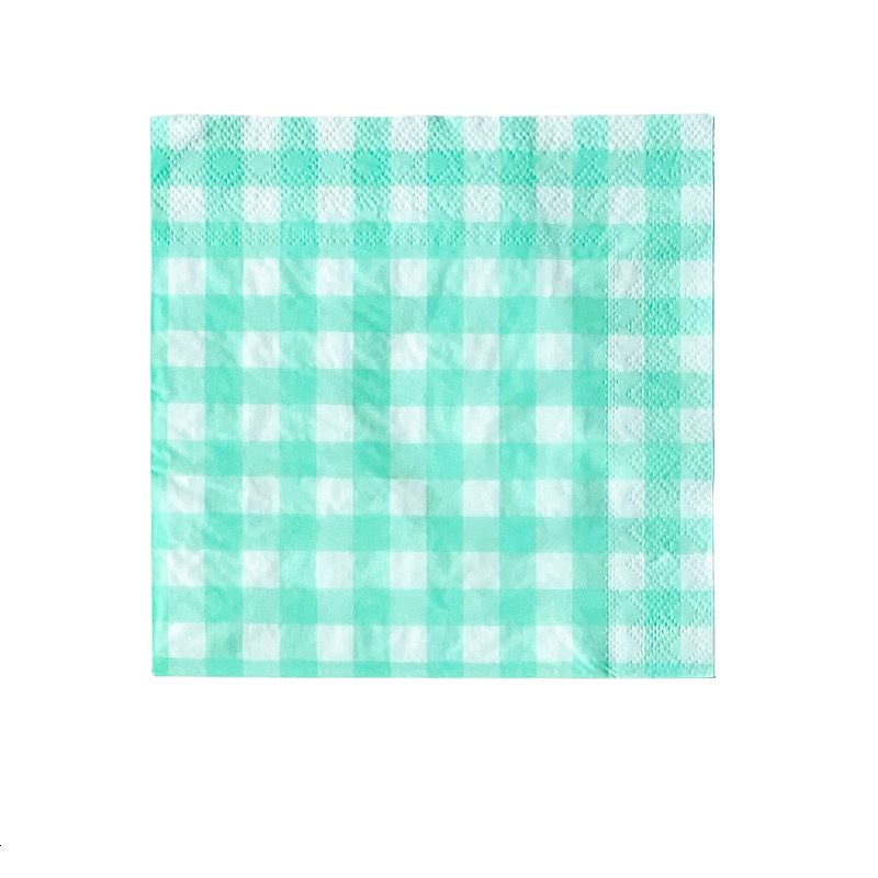 picnic-adventures-teal-napkin